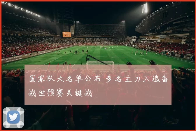 国家队大名单公布 多名主力入选备战世预赛关键战