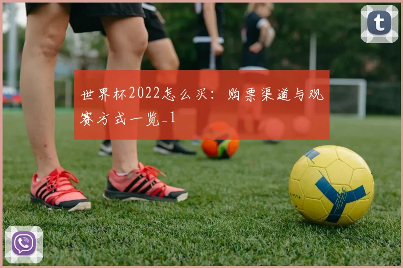世界杯2022怎么买：购票渠道与观赛方式一览_1