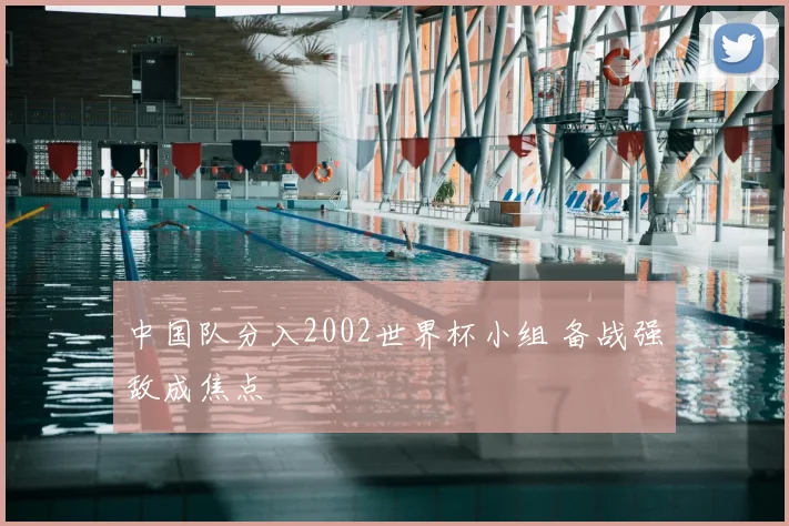 中国队分入2002世界杯小组 备战强敌成焦点
