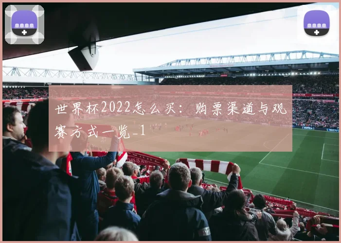 世界杯2022怎么买:购票渠道与观赛方式一览_1